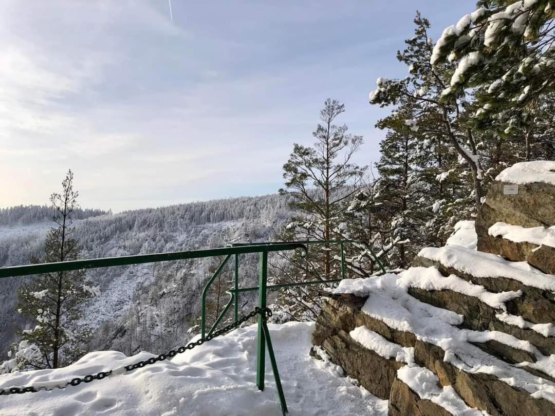 Bungalow Schwarzatalblick In Bad Blankenburg Ortsteil Boehlscheiben Ngoại thất bức ảnh